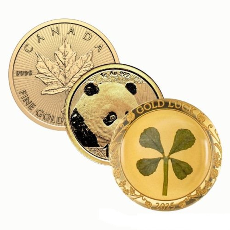 1 Gram Gold Coin (Random)