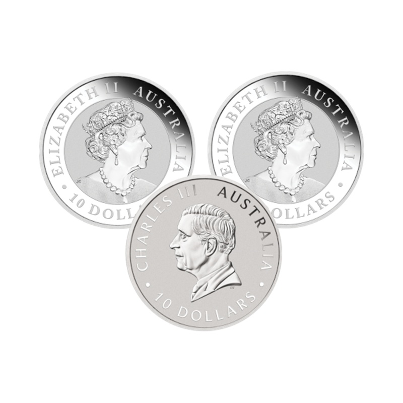10 oz Kookaburra Silver Coin (Random Year)
