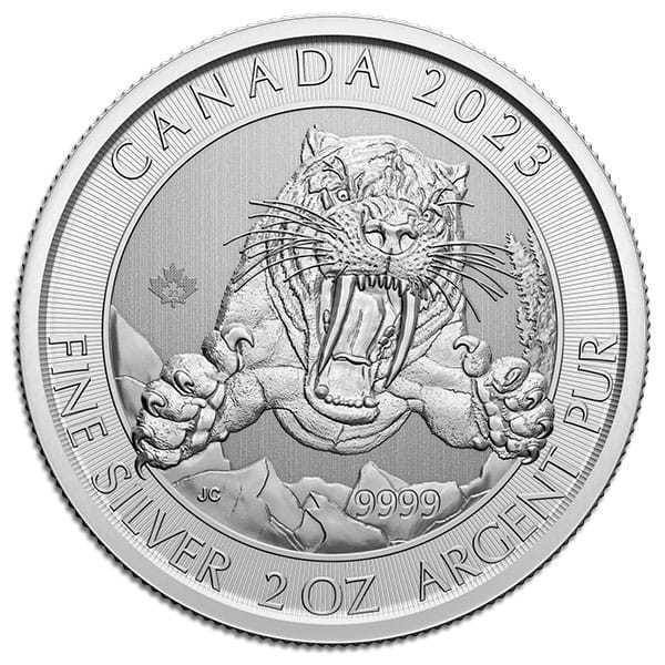 2 oz Silver Coin - Random Design
