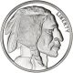 1/2 oz Buffalo Silver Round 