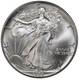 1986 American Silver Eagle Coin