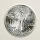1989 1 oz American Silver Eagle Coin BU