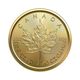 1/10 oz Canadian Gold Maple Leaf Coin (Random Year)