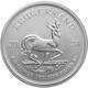 2024 1 oz Krugerrand Silver Coin