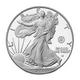 2025-W 250th Anniversary Army Privy American Silver Eagle