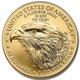 2026 1 oz American Gold Eagle
