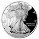 1 oz Walking Liberty Silver Round