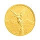 2024 Mexican 1/10 oz Libertad Gold Coin