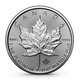 2024 Canada 1 oz Platinum Maple Leaf Coin